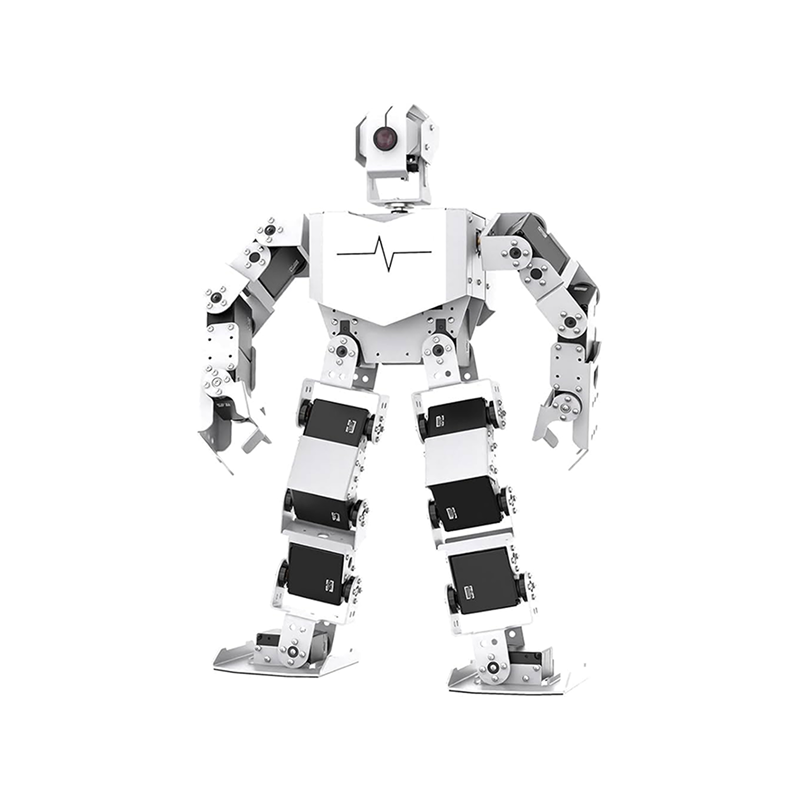 Visual Humanoid Robot